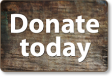 donate-button